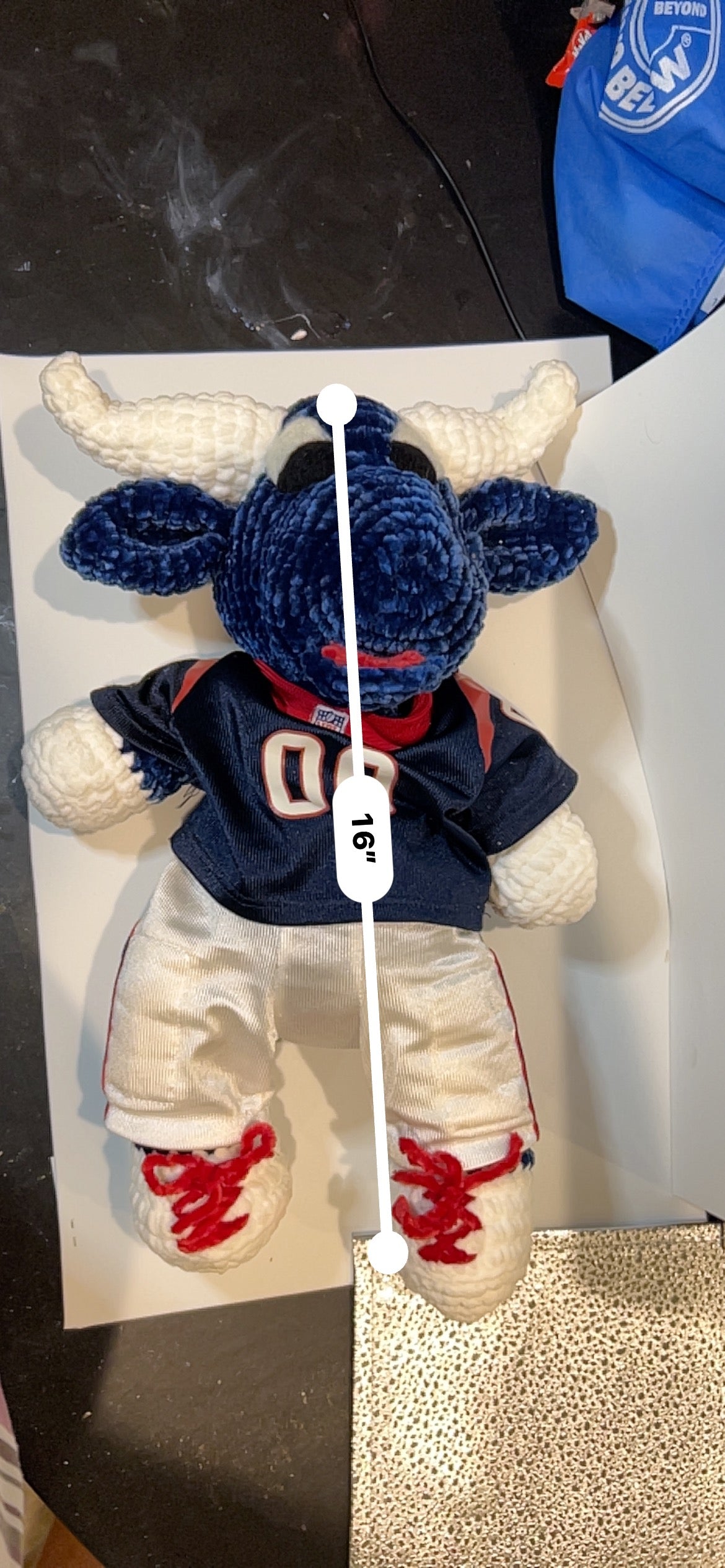 Toro the Texan