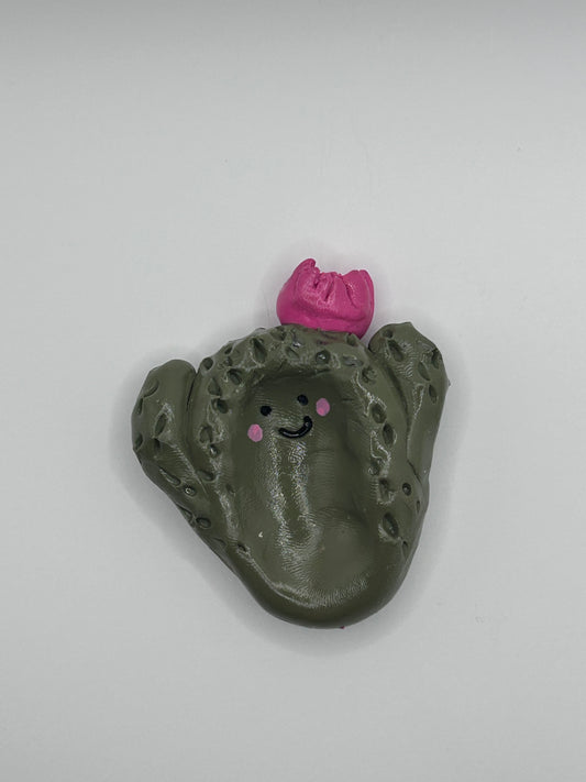 cactus worry stone