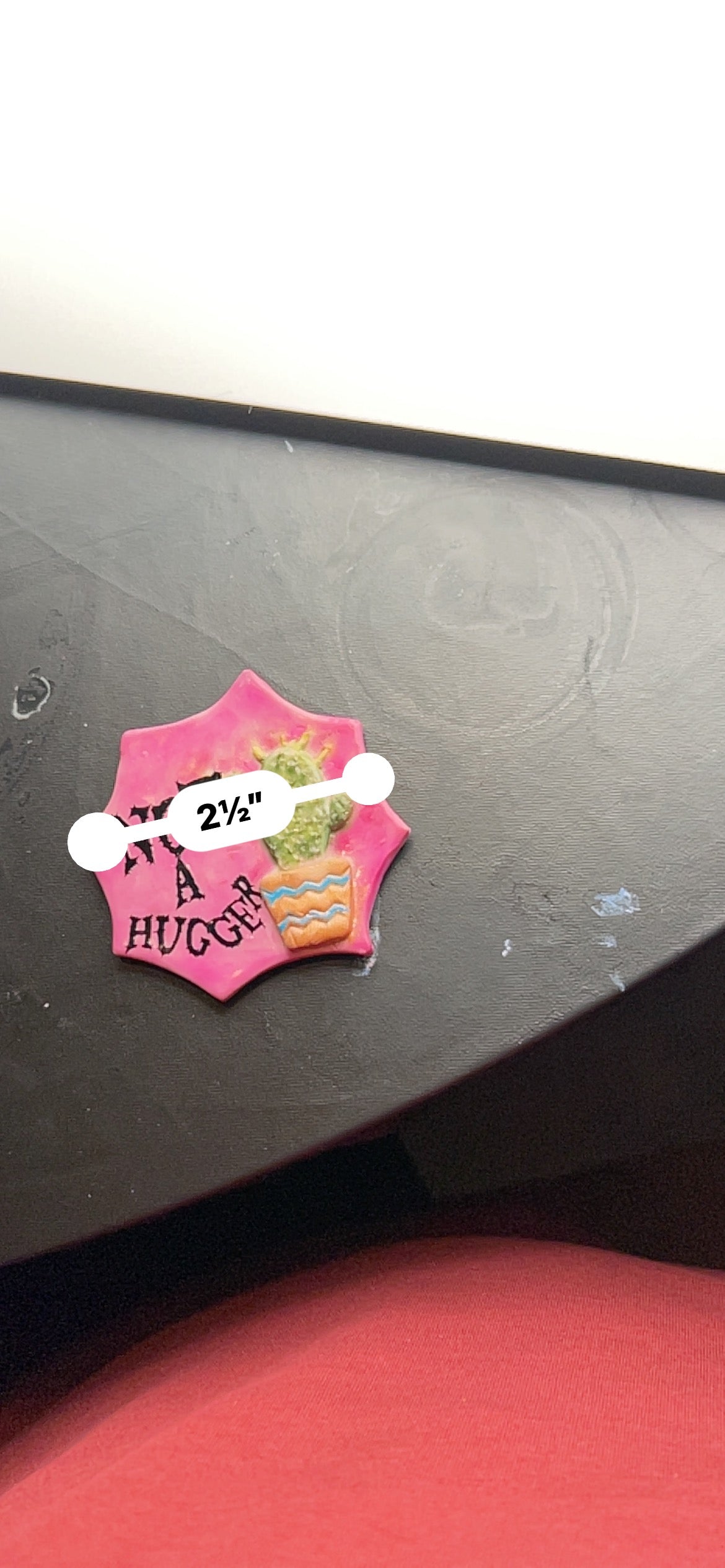 Not a Hugger Magnet