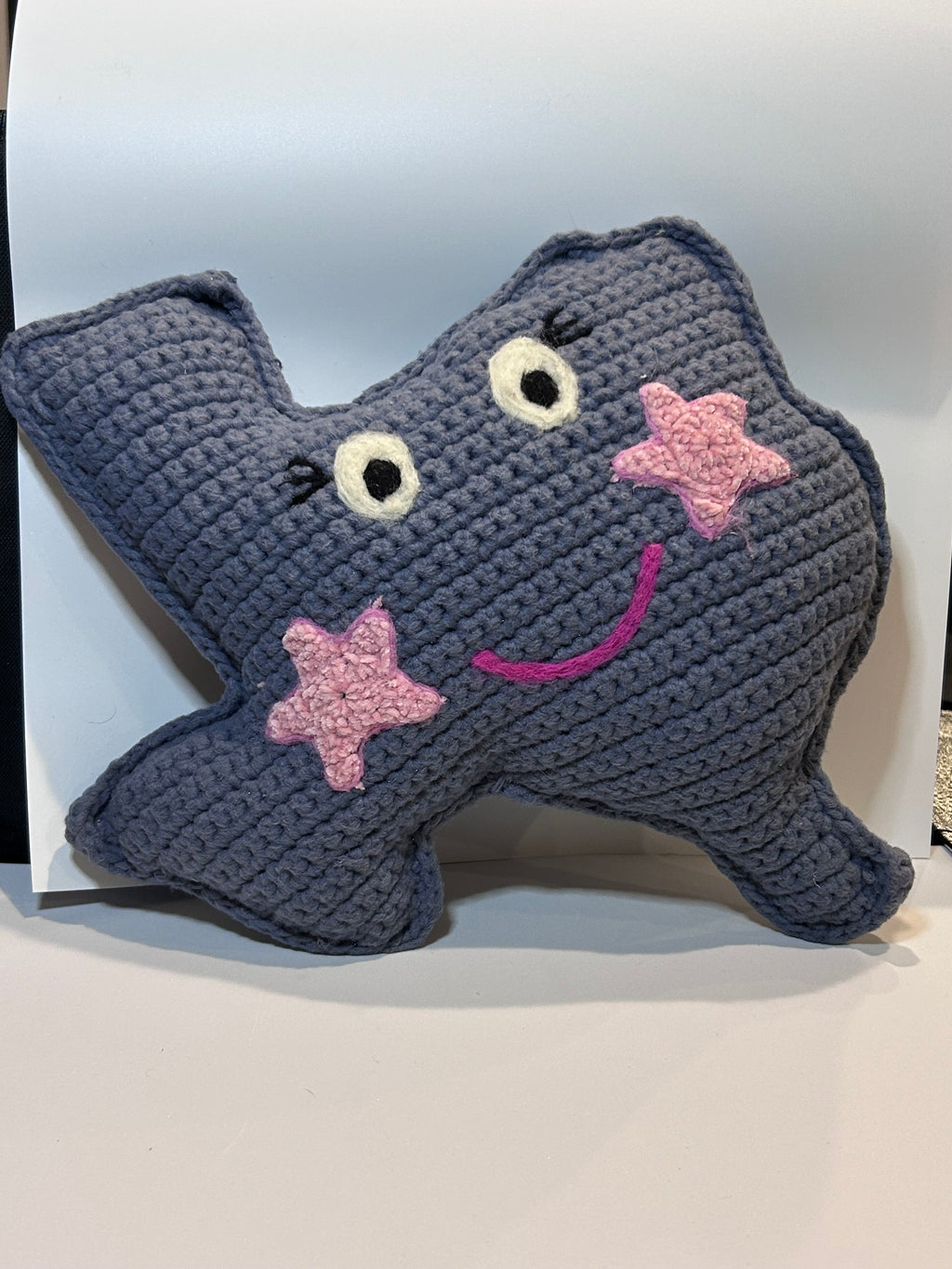 Crochet Texas Pillow