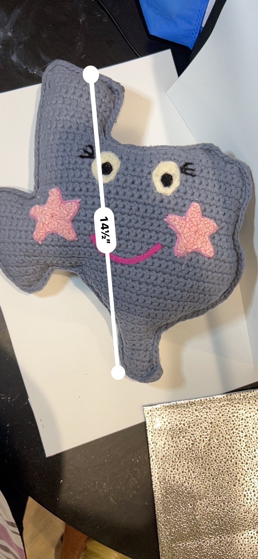 Crochet Texas Pillow