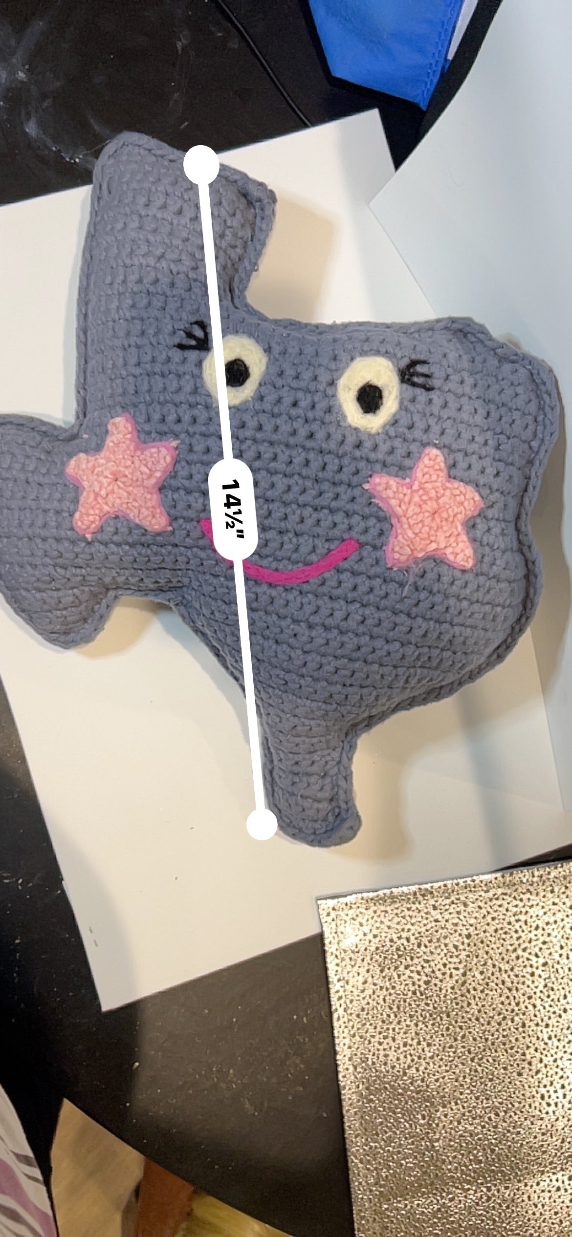 Crochet Texas Pillow