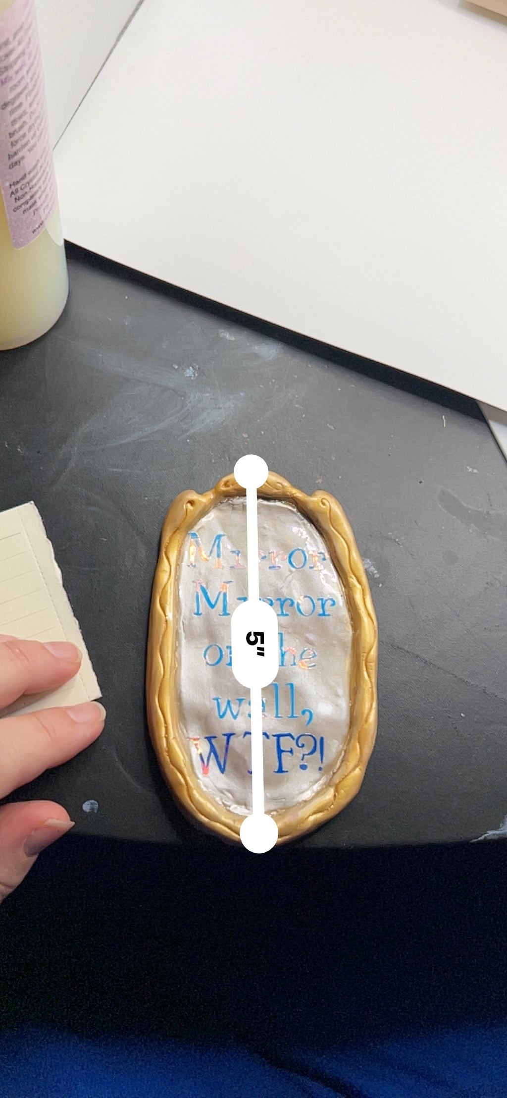 Mirror, Mirror WTF Magnet