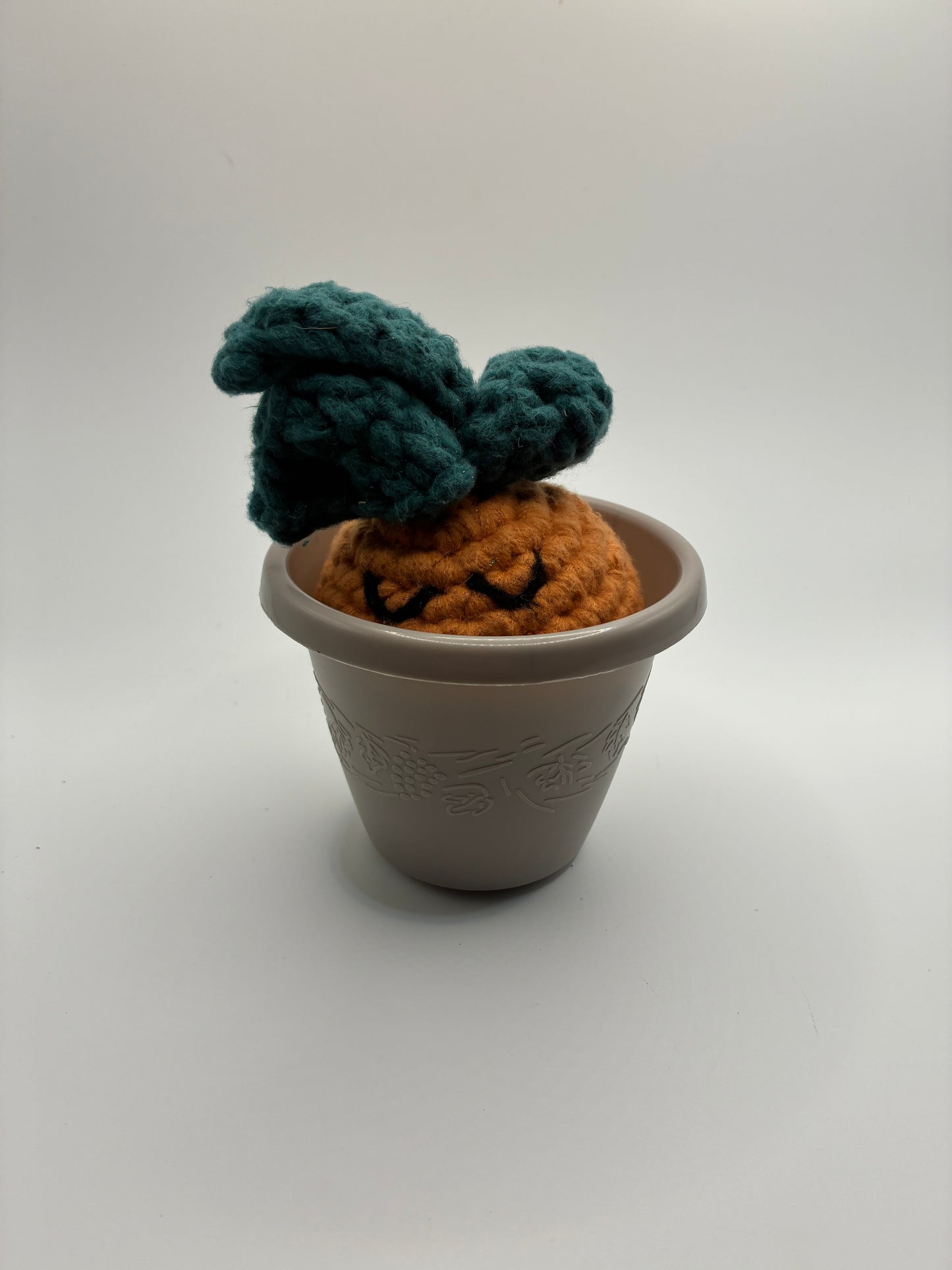 Sleepy Mandrake