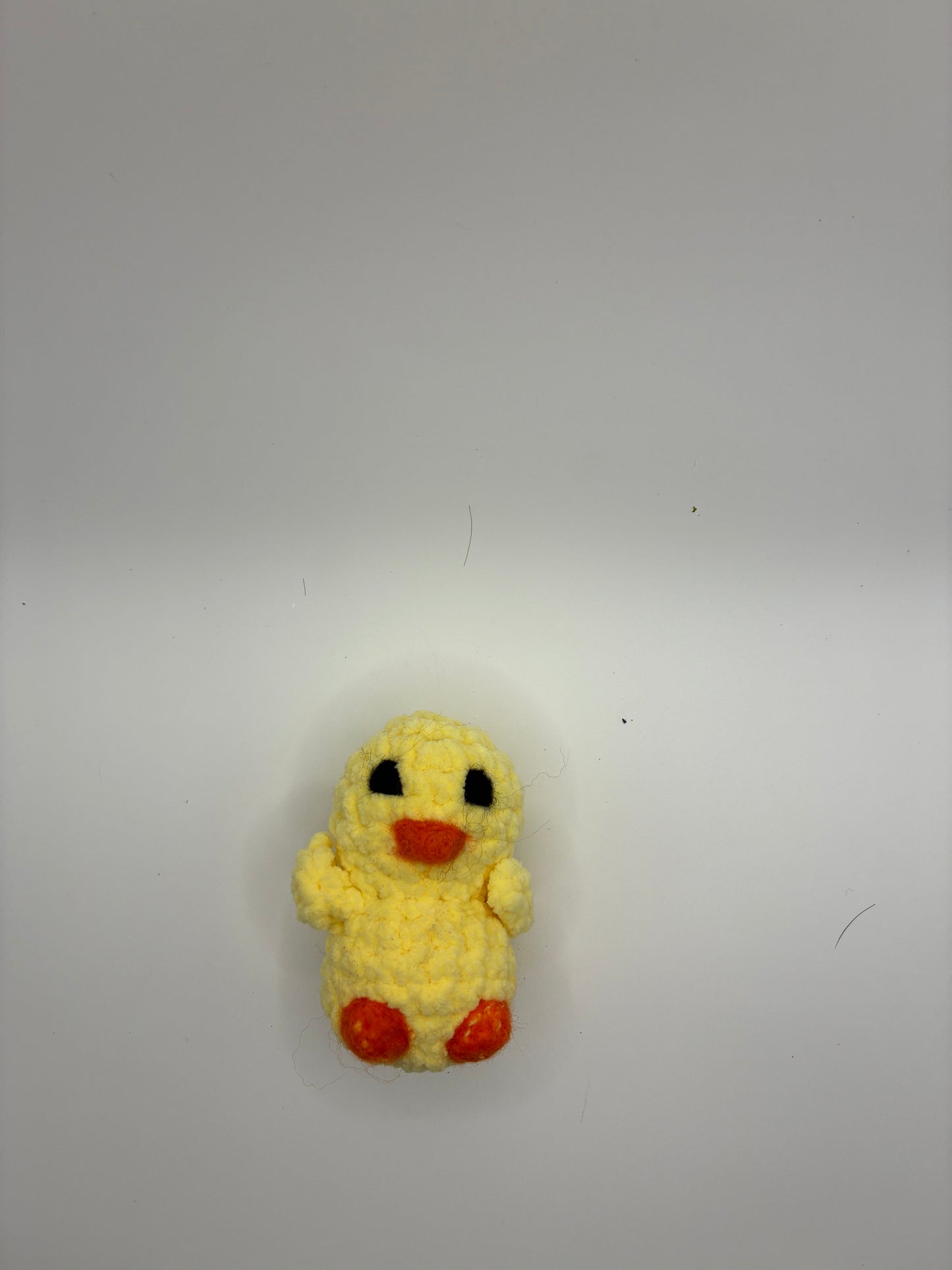 Mini Chick